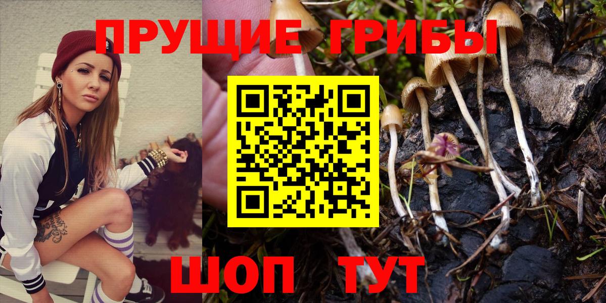Галлюциногенные грибы Cubensis Вязьма
